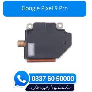 Google Pixel 9 Pro Ringer Replacement